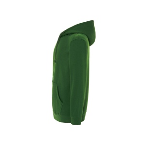 Sweat capuche 290 78