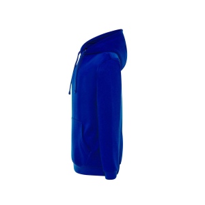 Sweat capuche 290 79