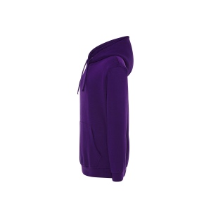 Sweat capuche 290 88