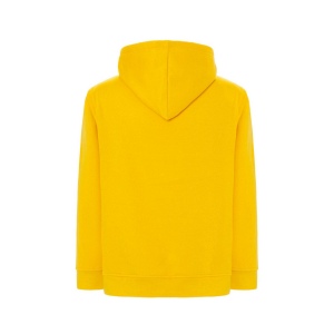 Sweat capuche 290 62