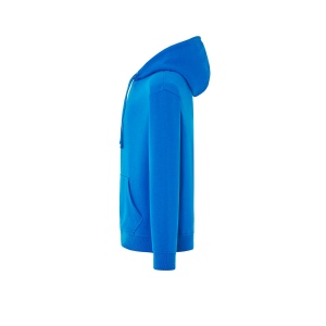 Sweat capuche 290 95