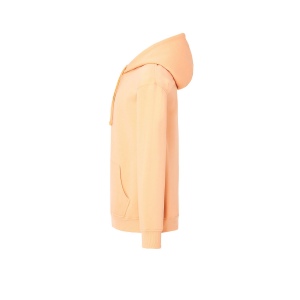 Sweat capuche 290 107