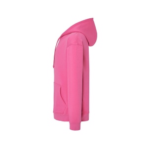 Sweat capuche 290 113