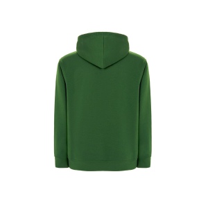 Sweat capuche 290 66