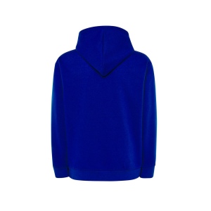 Sweat capuche 290 67
