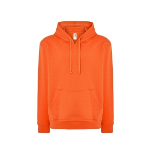 Sweat capuche 290 17