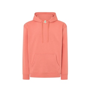 Sweat capuche 290 22