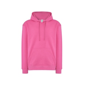 Sweat capuche 290 43