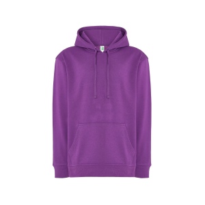 Sweat capuche 290 56