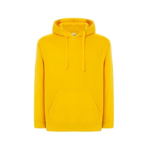 Sweat capuche 290 4