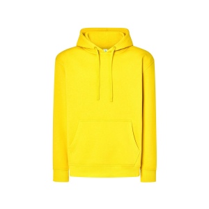 Sweat capuche 290 51