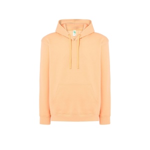 Sweat capuche 290 37