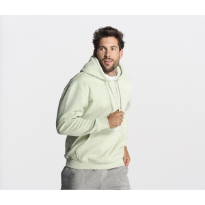 Sweat capuche 290