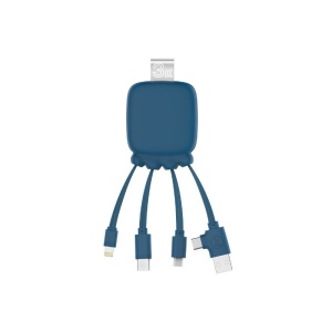 Gamma - Câble de charge et power bank 3000 mAh 3