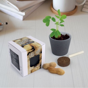 Kit pot ardoise graines arachide
