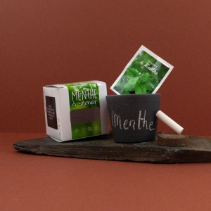 Kit pot ardoise graines menthe