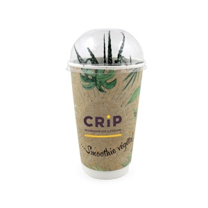 Smoothie Plante 3