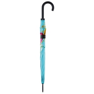 Parapluie standard Xpress 6