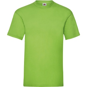 T-shirt homme Valueweight (61-036-0) 14