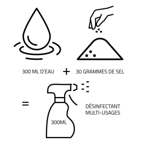 Vaporisateur générateur de désinfectant 3