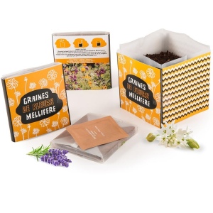 KIT DE PLANTATION CARRÉ COCO