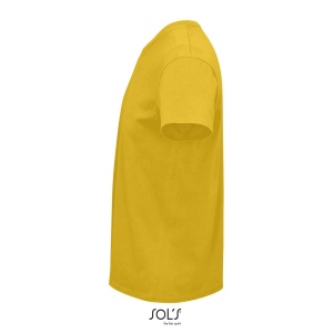 Tee-shirt homme jersey col rond ajusté - CRUSADER MEN 85