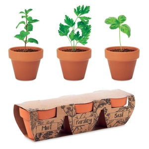 FLOWERPOT - 3 pots en terre