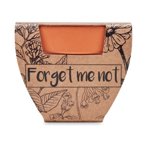 Pot graines de myosotis - FORGET ME NOT 3