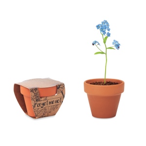 FORGET ME NOT - Pot graines de myosotis