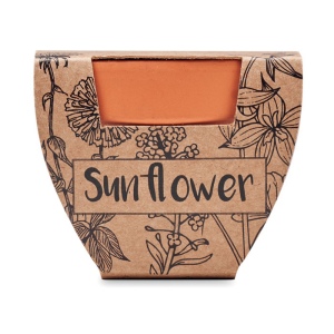 Pot graines de tournesol - SUNFLOWER 3