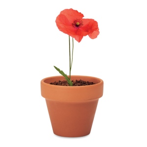Pot graines de coquelicot - RED POPPY 5