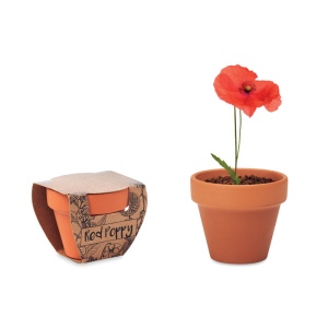 Pot graines de coquelicot - RED POPPY 2