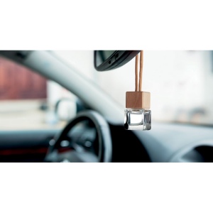 Désodorisant pour voiture - FRESH AIR 4