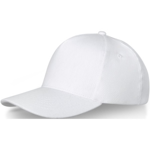 Casquette Doyle 5 panneaux 12