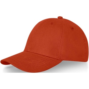 Casquette Davis 6 panneaux 3