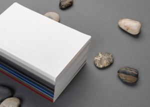 Carnet A5 à couverture souple avec papier minéral IMPACT 24