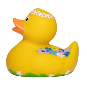 Canard voyage MBW 4
