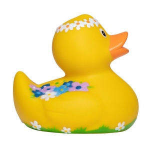 Canard voyage MBW 6