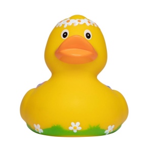 Canard voyage MBW
