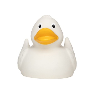 Canard uni MBW 17