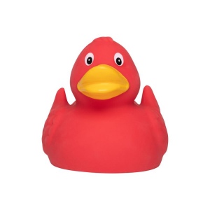 Canard uni MBW 22