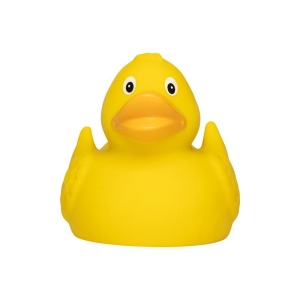 Canard uni MBW 27