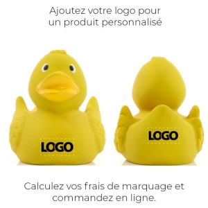 Canard uni MBW 31