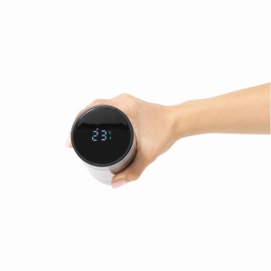 Bouteille isotherme EXQUISITE, double paroi 10