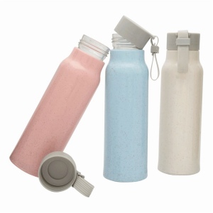 Gourde en verre ECO DRINK 10