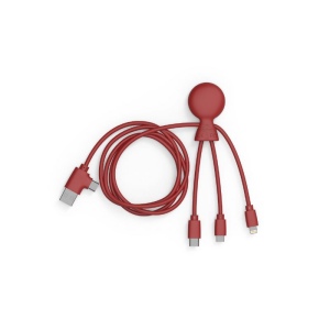 Mr Bio Long - Câble d'1 M avec une double entrée Type C/USB 10