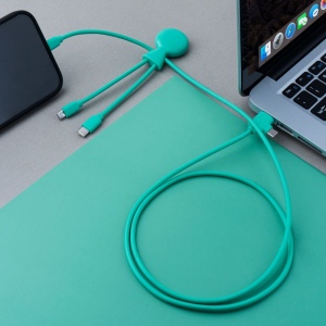 Mr Bio Long - Câble d'1 M avec une double entrée Type C/USB 21