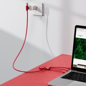 Mr Bio Long - Câble d'1 M avec une double entrée Type C/USB 25