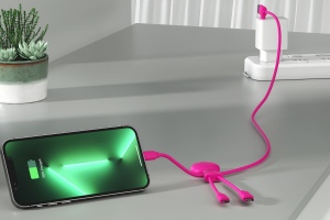 Mr Bio Long - Câble d'1 M avec une double entrée Type C/USB 27