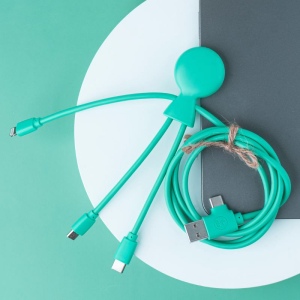 Mr Bio Long - Câble d'1 M avec une double entrée Type C/USB 28